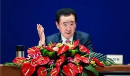 万达最新爆料消息今天新闻,揭秘今日热点新闻背后的惊人内幕