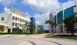 怀德学院爆料事件最新,揭开校园乱象背后的真相