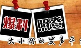 奶茶最新爆料新闻,神秘男友身份引热议