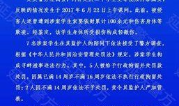 北京二中爆料案件最新,揭秘校园内惊心动魄的真实事件