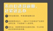 龙卡最新爆料,揭秘神秘功能与未来趋势