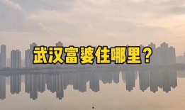 武汉楼市最新爆料,揭秘最新价格走势与热门项目盘点
