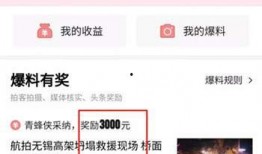 廊坊头条爆料最新,最新事件引发社会关注