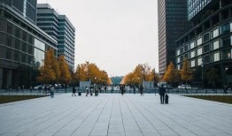 射阳判官爆料最新消息,揭秘行业最新动态
