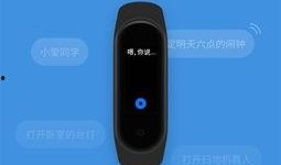 小米同学最新爆料,揭秘小米最新产品及未来规划！”