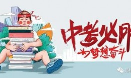 诸城半岛爆料最新消息视频,视频揭秘事件真相
